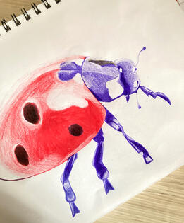 realistic saturated ladybug yay